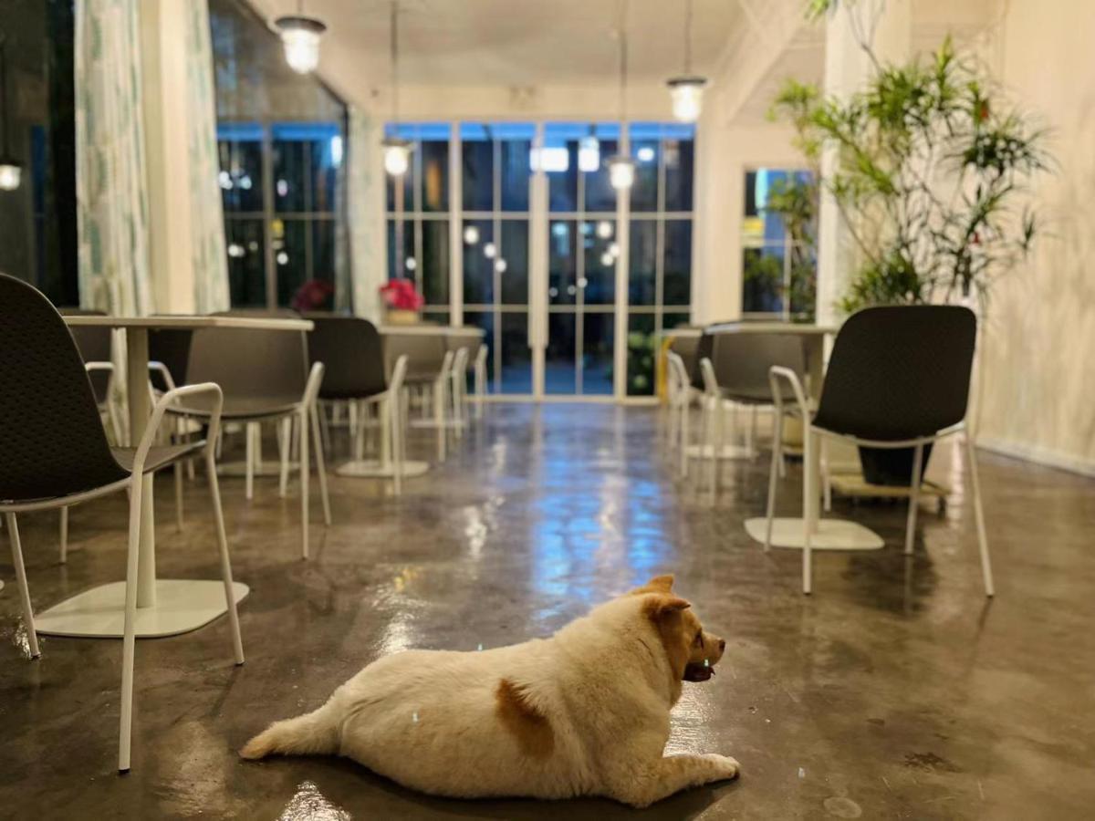 Shenzhen Loft Youth Hostel Экстерьер фото